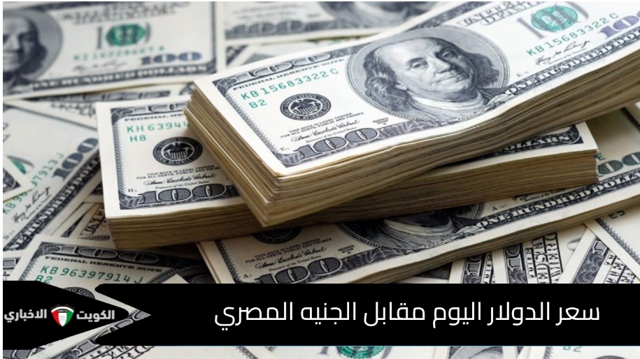 “الأخضر بكام النهارده” سعر الدولار اليوم مقابل الجنيه بالبنوك المصرية