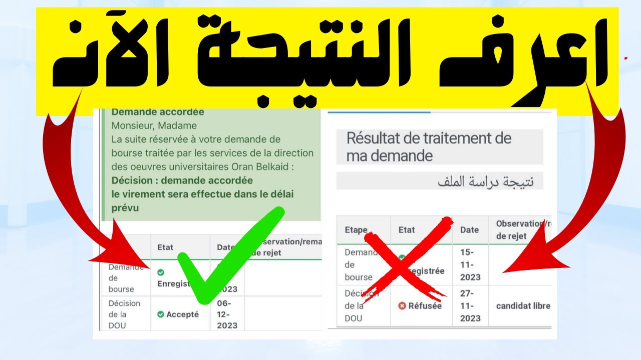 رابط الاستعلام عن نتائج دراسة المنح الجامعية بديوان الجنوب وأسباب رفض طلب الاستفادة من الدعم