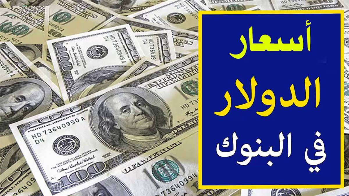 بكام الأخضر النهارده.. سعر الدولار اليوم الخميس 28 نوفمبر مقابل الجنيه المصري.. آخر تحديث