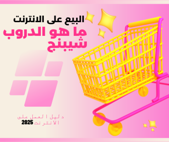 الربح من الانترنت بالدروب شيبنج