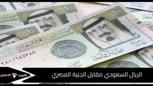 سعر الريال السعودي مقابل الجنية المصري الأربعاء 20 نوفمبر