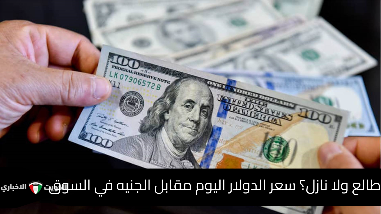 طالع ولا نازل؟ سعر الدولار اليوم الإثنين 18-11-2024 مقابل الجنيه في البنوك المحلية والأجنبية