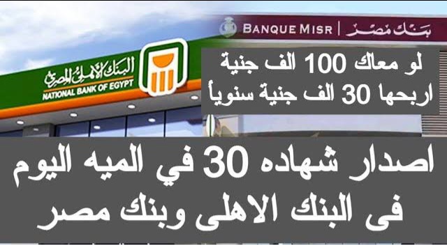 استثمر فلوسك صح.. افضل عائد شهادات البنك الاهلي المصري ومزايا شهادة ذات العائد المتناقص بنسبة 30%