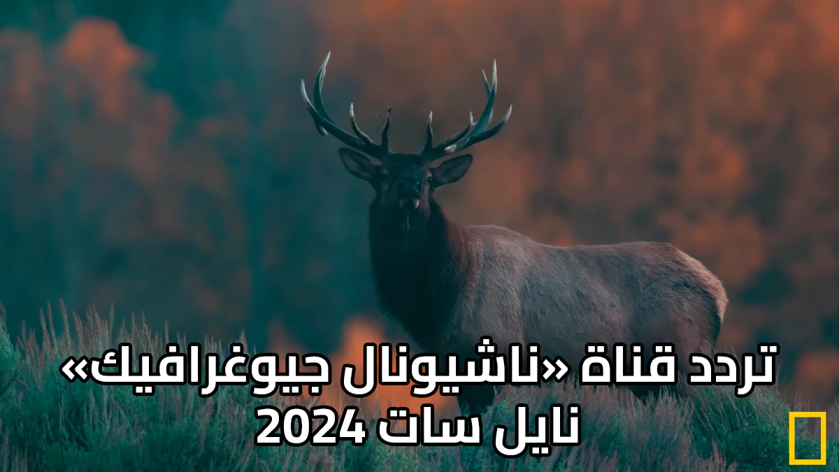 تردد قناة ناشيونال جيوغرافيك نايل سات 2024 المفتوحة HD