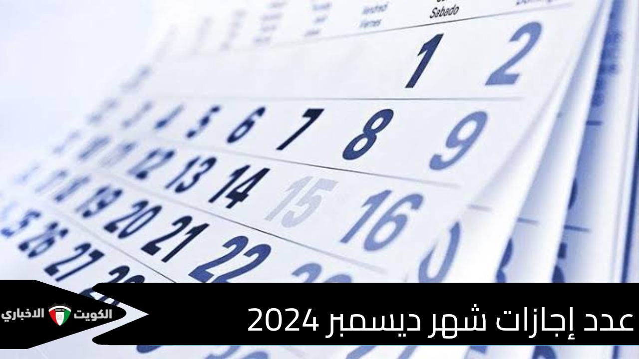 هتقعد في البيت كام يوم .. الحكومة المصرية تعلن عدد إجازات شهر ديسمبر 2024