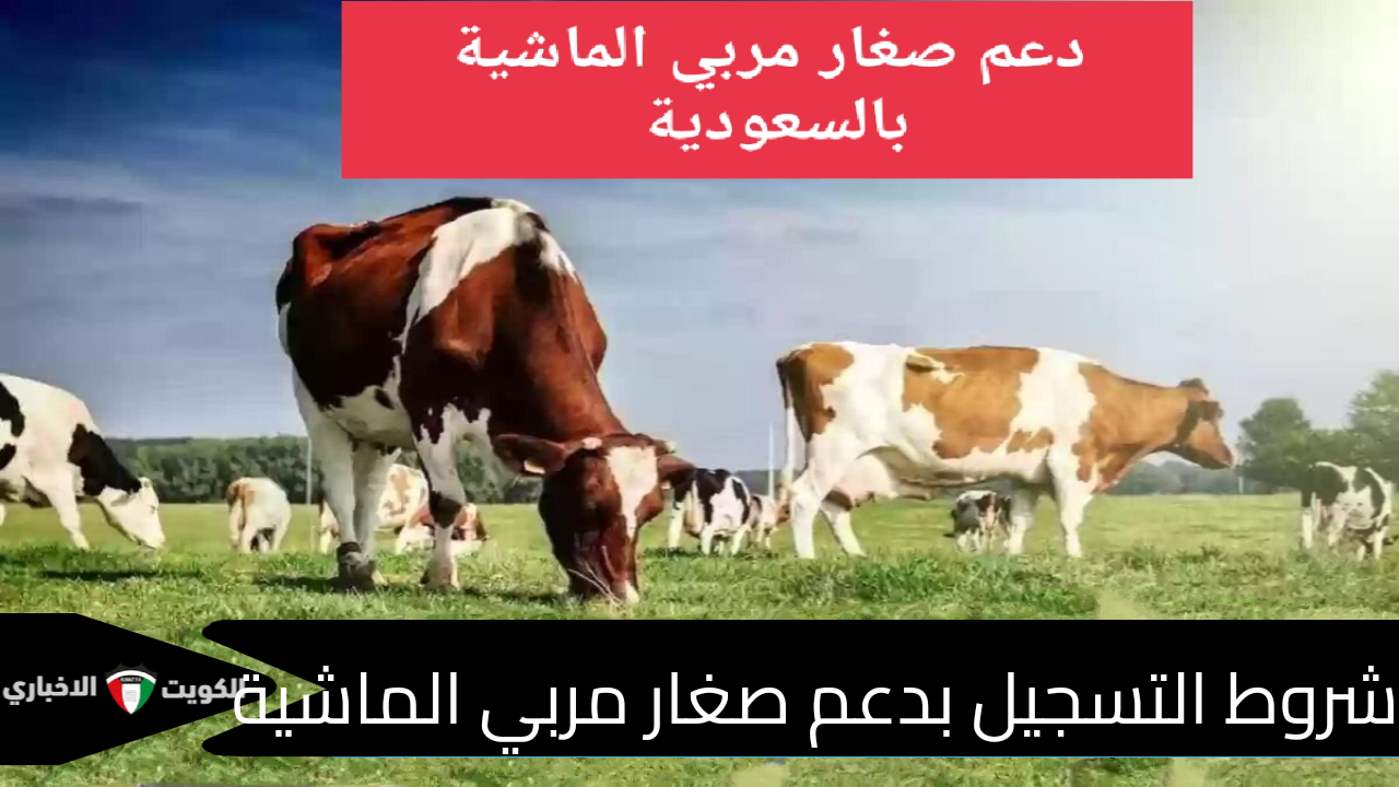 الشروط المطلوبة للحصول على دعم صغار مربي الماشية وخطوات التسجيل