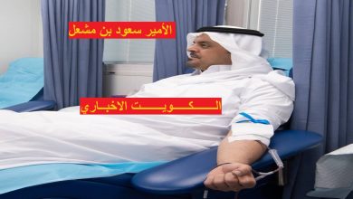 الأمير سعود بن مشعل