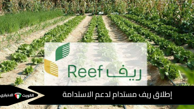 ريف السعودية