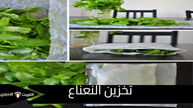 تخزين النعناع