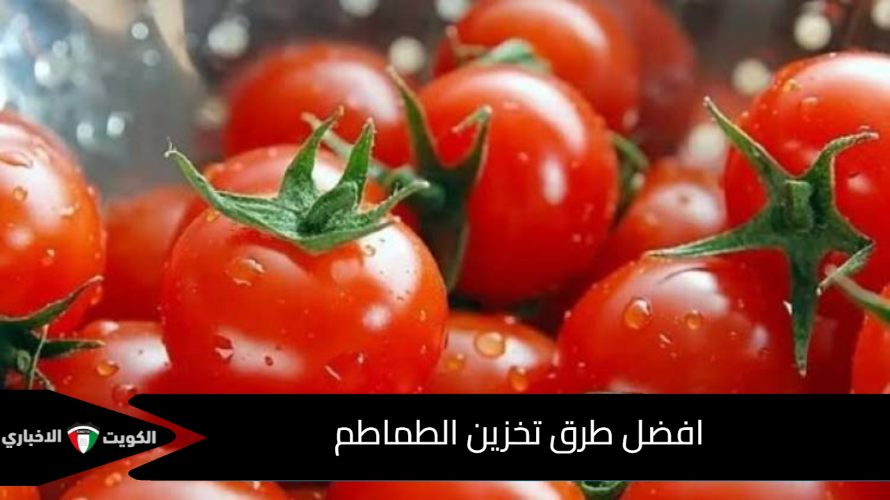 افضل طرق تخزين الطماطم