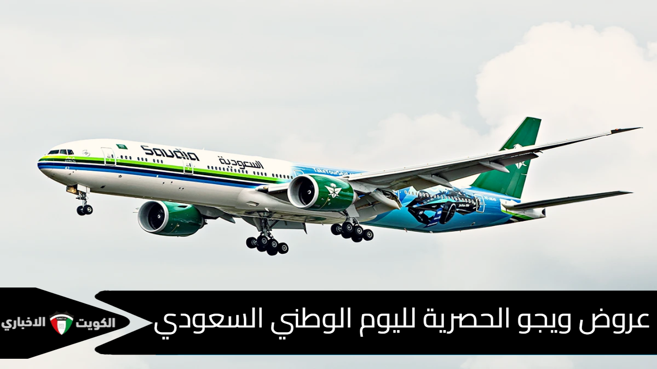 عروض الطيران اليوم الوطني