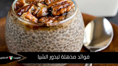 فوائد بذور الشيا