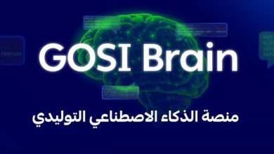 منصة GOSI Brain