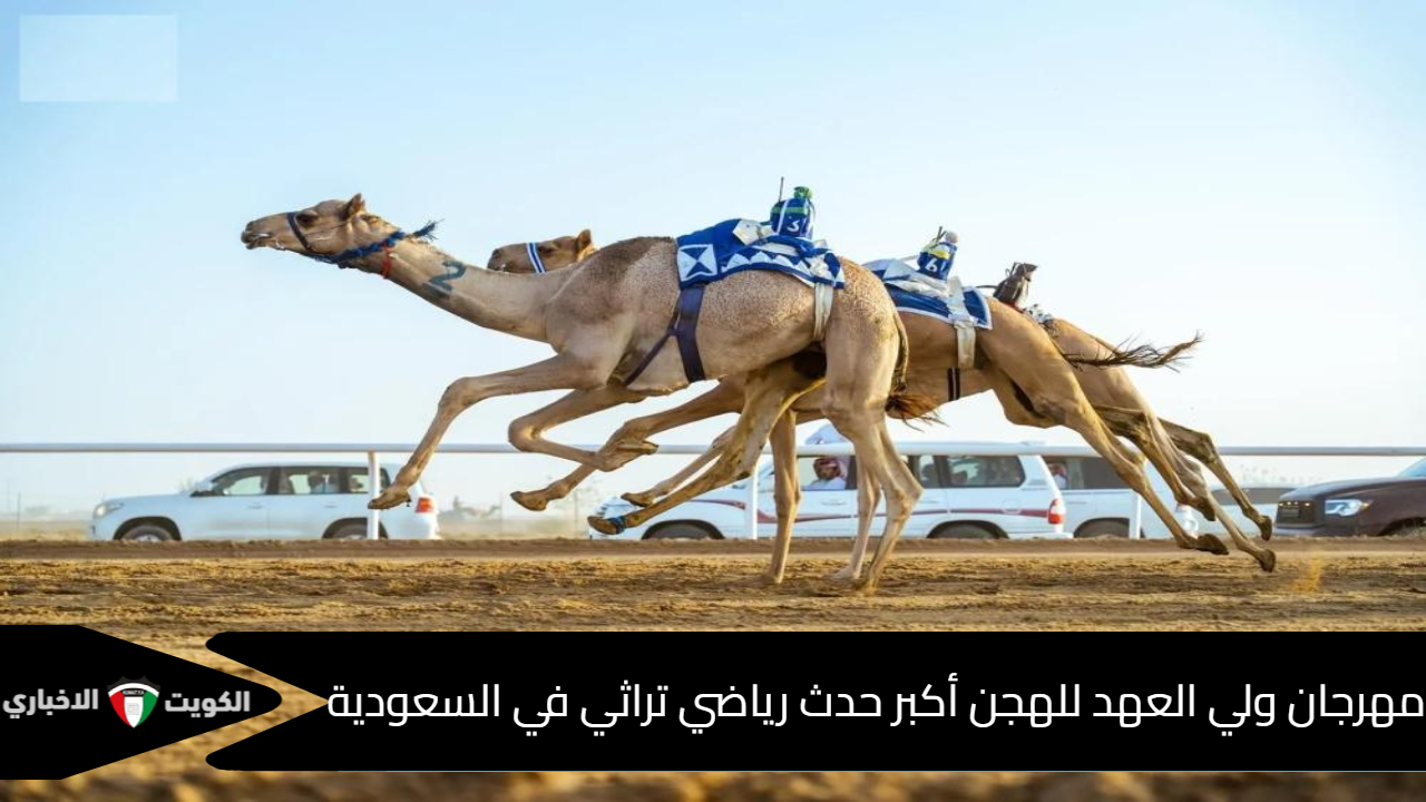 مهرجان ولي العهد للهجن