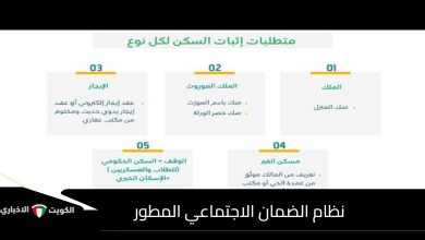 الضمان الاجتماعي المطور