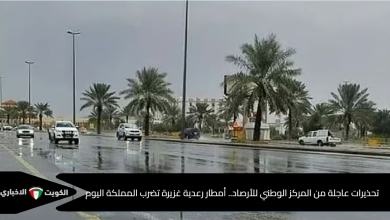 أمطار رعدية