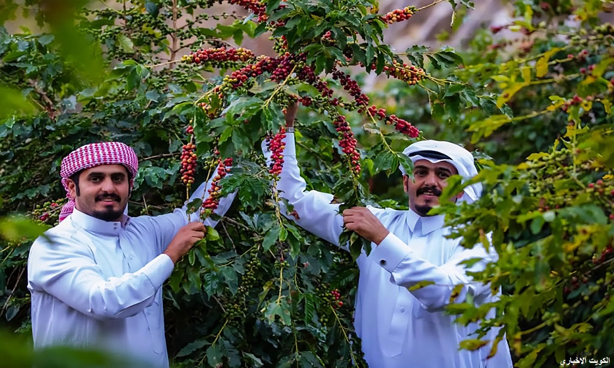 اليوم العالمي للقهوة